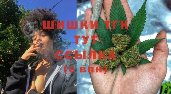 дурь Богородицк