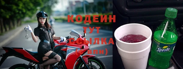прущие грибы Балахна