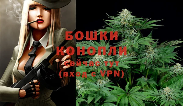 спайс Богородск