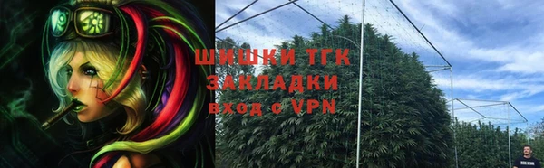 дурь Богородицк