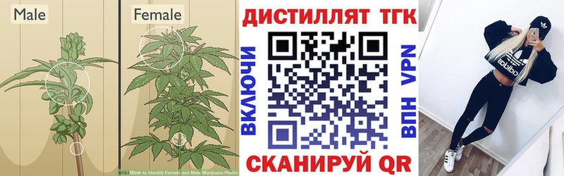 Дистиллят ТГК THC oil  hydra ссылка  Кстово 